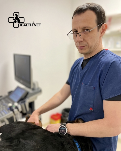 Clinica Veterinară Health Vet