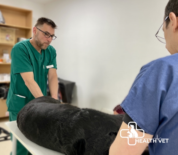 Clinica Veterinară Health Vet